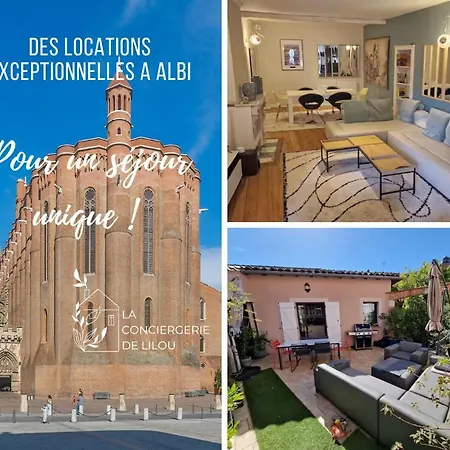Apartment Hypercentre - Parentale Et Grande Terrasse Albi