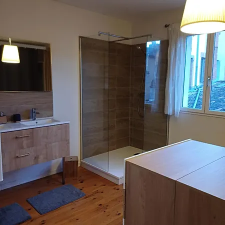 Hypercentre - Parentale Et Grande Terrasse Apartment Albi