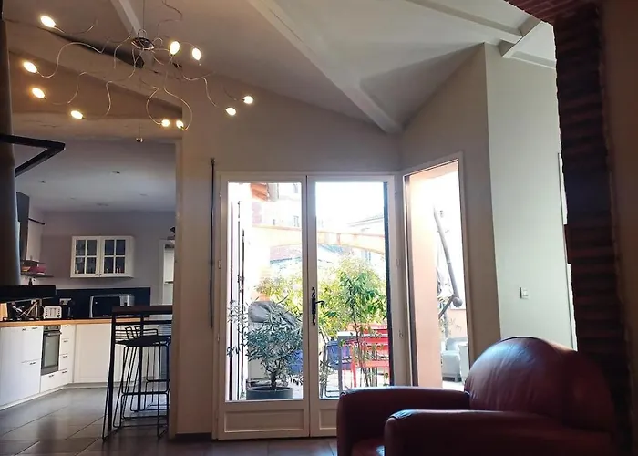 Hypercentre - Parentale Et Grande Terrasse * Albi