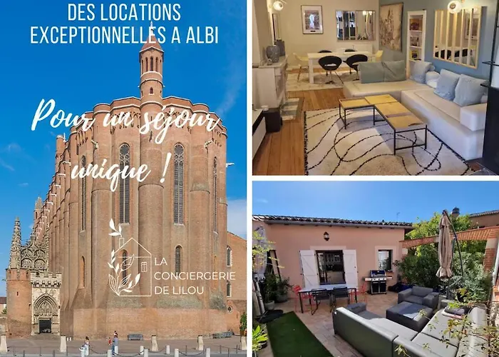 Apartamento Hypercentre - Parentale Et Grande Terrasse Albi