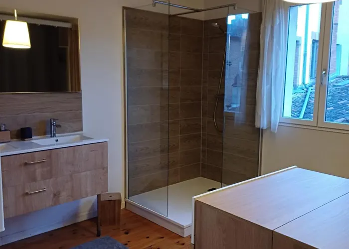 Hypercentre - Parentale Et Grande Terrasse Apartamento Albi