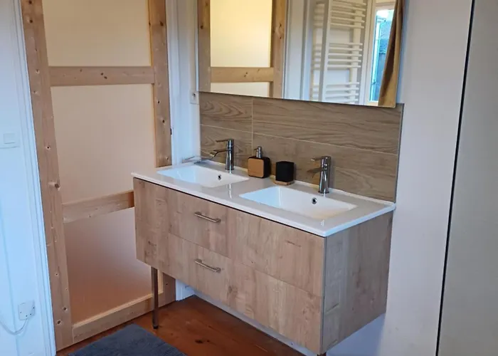 Hypercentre - Parentale Et Grande Terrasse * Albi