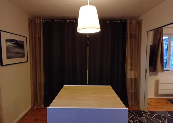 Hypercentre - Parentale Et Grande Terrasse * Albi