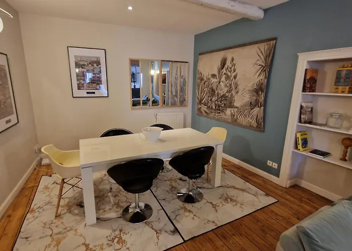 Hypercentre - Parentale Et Grande Terrasse Apartamento Albi